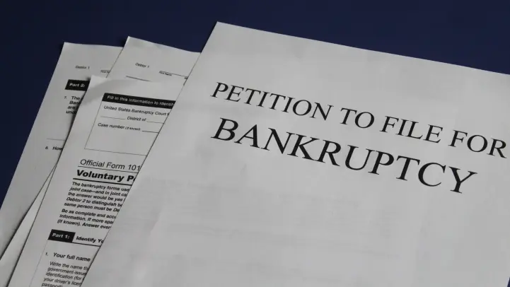 PEITION TO FILE FOR BANKRUPTCY